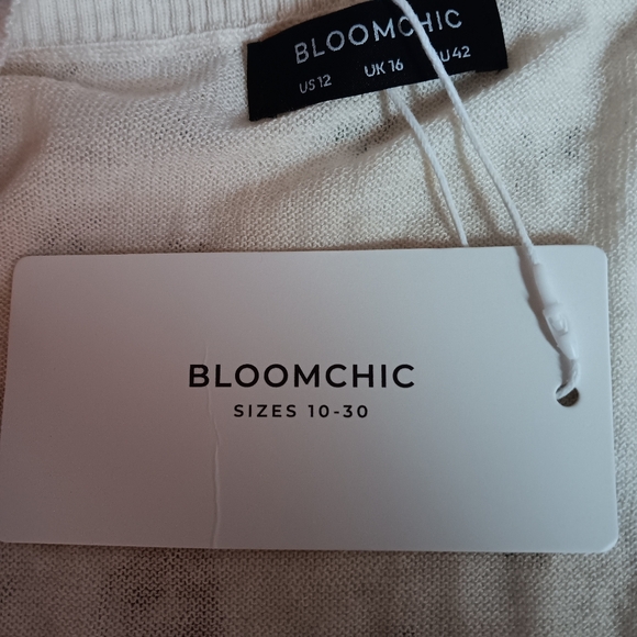 Bloomchic Burnt Orange Cream Colorblock V Neck Long Sleeve Top NWT Size 12 - Picture 3 of 3